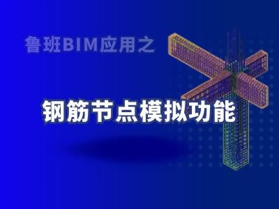 鲁班BIM应用之钢筋节点模拟功能